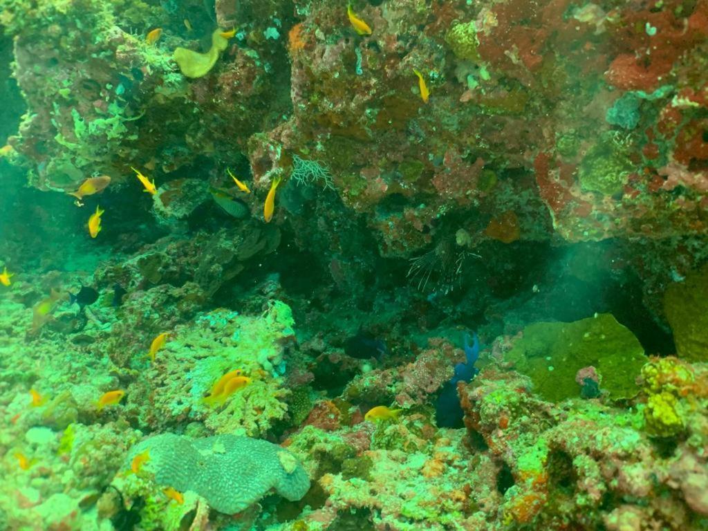 Beach Star Maldives Hangnaameedhoo エクステリア 写真